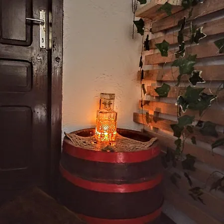 Kuca Iz Zavicaja * Kursumlija