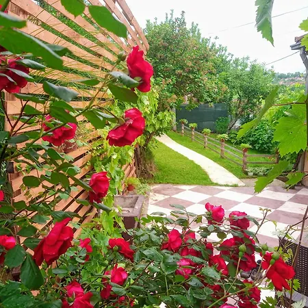 Kuca Iz Zavicaja Kursumlija