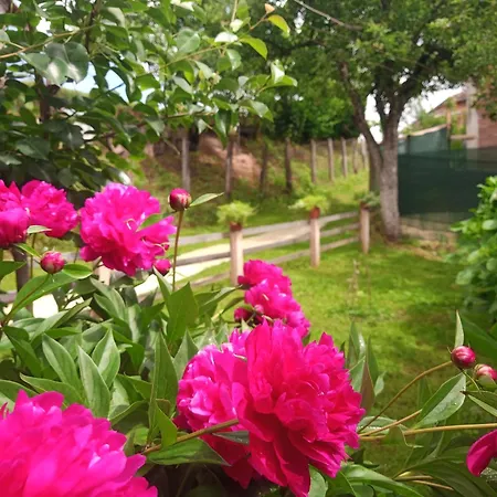 Apartament Kuca Iz Zavicaja *