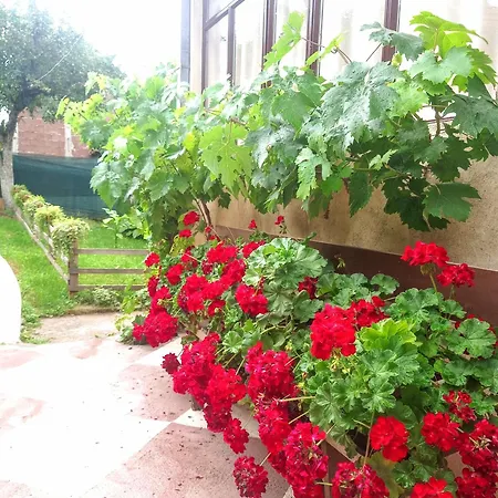 Kuca Iz Zavicaja Kursumlija