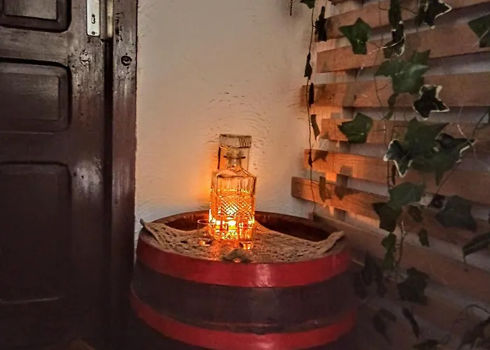 Kuca Iz Zavicaja * Kursumlija