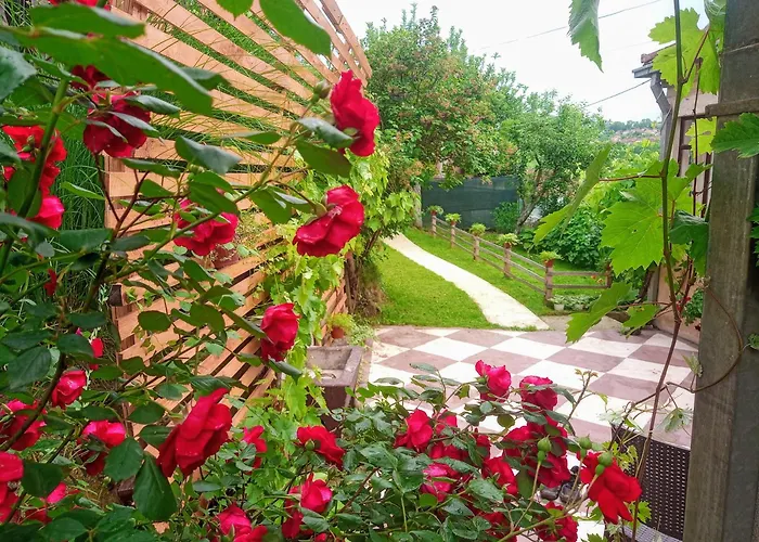 Kuca Iz Zavicaja Kursumlija