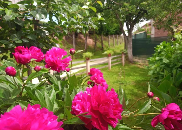 Apartamento Kuca Iz Zavicaja *