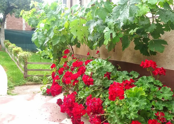 Kuca Iz Zavicaja Kursumlija